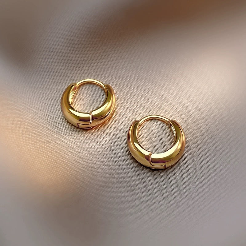 Luna Hoops – Rounded Chunky Stainless Steel Earrings